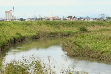 Obraz premium the river in the field