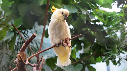 Berliin Zoo