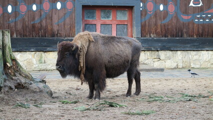 Berliin Zoo