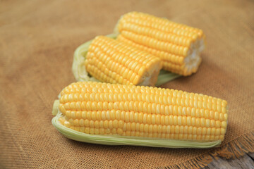 Fresh boiled sweet corn on plate for healthy eating in meal for good living life