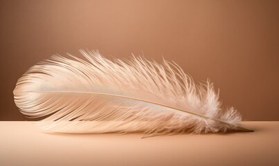 Photo of a delicate white feather resting peacefully on a wooden table