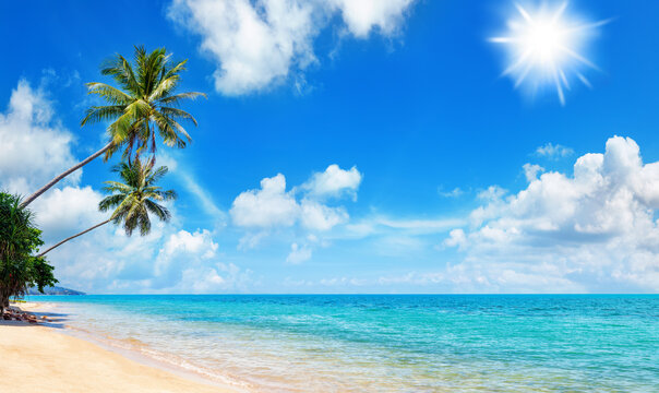 Tropical island paradise sea beach, beautiful nature landscape, coconut palm tree leaves, turquoise ocean water, sun blue sky white cloud, sand, Caribbean, Maldives, Thailand summer holidays, vacation