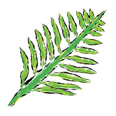 Leaf vector, Wax crayons like children's hand-drawn leaves isolated. Pastel chalk or pencil like leaves drawn by children's hands on paper. Brush painting style, coloring style with crayons.