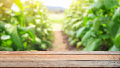 Wooden table top on blur plant vegetable or fruit organic farm background. For place food, drink or health care business. Fresh landscape and relax season concept. View of copy space.