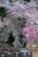 Fototapeta na wymiar 磐梯神社