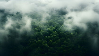 Aerial view of a forest, woodland, background material