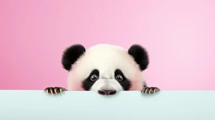 Fotobehang panda bamboo for greetings background © Boma