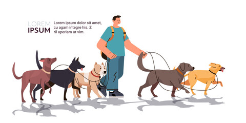 guy dog handler walks with pets best friends domestic animals walking service volunteering pet care concept