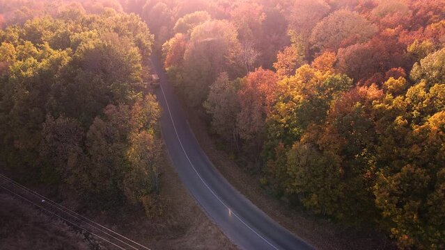 Road with school bus in beautiful autumn forest at sunset. aerial view.