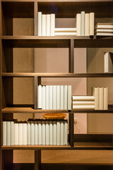 Simple large wooden shelf with blank books