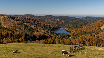 French autumn landscape