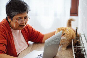 Happy asian senior mature woman working with laptop computer with cute cat.