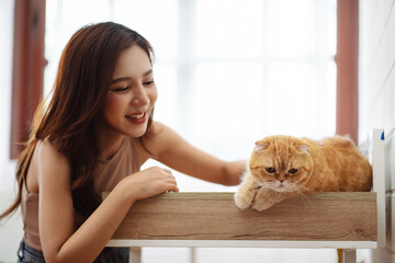 Happy Asian woman owner cute cat playful in a home. Friendship of pet and human people lifestyle.