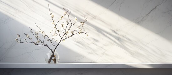 spring sunlight shining on a tree branch with a shadow on a white marble tile wall. The branch is surrounded by a wood table and empty space available for text or other elements.
