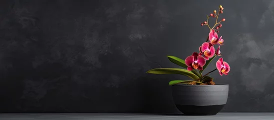 Fototapeten A flowerpot containing a blooming orchid is placed on a black stone table against a dark background. space available for text. © HN Works