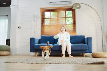 Happy asian senior woman retirement enjoying her dog pet running in the home, Friendship pet and...