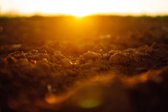 Clean soil for growing. Close-up black soil for gardening and agriculture. Selective focus. Ecology concept.