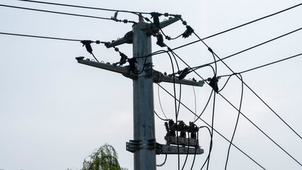 power lines