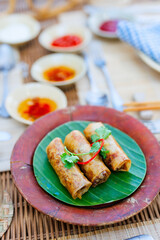 Fried spring rolls