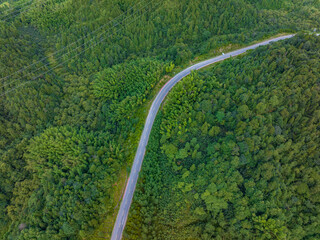 aerial view of road