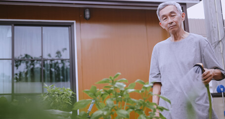 Happy retired man spending time planting plants at home. An elderly Asian man gardening at home.