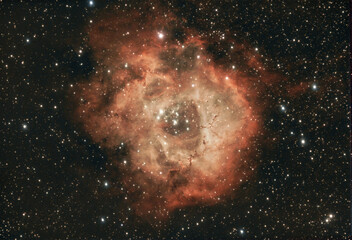 Nébuleuse de la rosette NGC2244