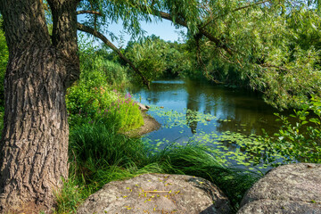 Peaceful summer scene at the riverside - 631747305