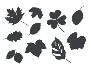 set of vector leaf silhouettes. shadows.