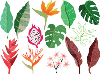 Set of tropical leaves, flowers, plants and fruit