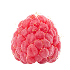 One fresh raspberry fruit  isolated in white background. Isolated berries. Healthy food. File contains clipping path.