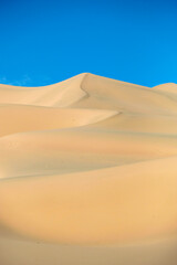 Fototapeta na wymiar Khongor Sand Dunes in the Gobi Desert in Mongolia.