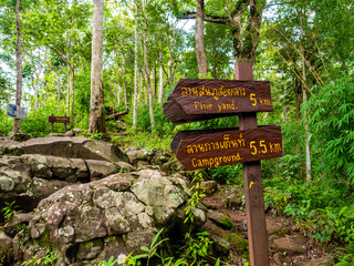 Uttaradit Province, Thailand - July, 24, 2023 : Scenic of Nature at Phu Soi Dao National Park, north of Thailand.