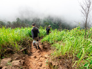 Uttaradit Province, Thailand - July, 24, 2023 : Scenic of Nature at Phu Soi Dao National Park, north of Thailand.