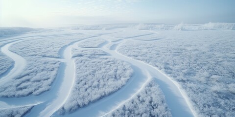 Drone view paisaje nevado y salvaje, precioso bosque totalmente nevado con caminos cubiertos de nieve - obrazy, fototapety, plakaty
