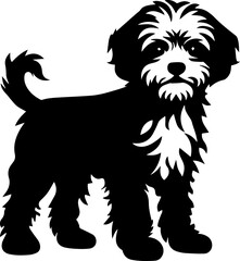 Eskipoo Dog Icon