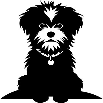 Eskipoo Dog Icon