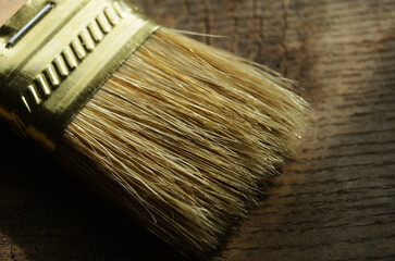 Paintbrush bristles