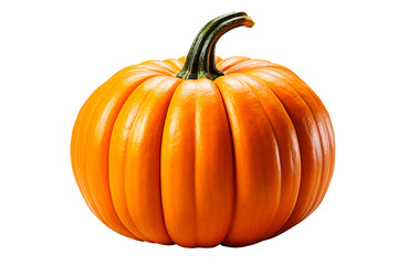 realistic pumpkins isolated background Generative AI