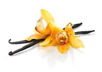 Vanilla flowers and pods close up. Vanilla beans isolated on white background, aromatic condiments, aromatherapy.  