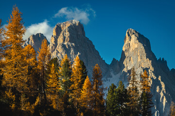 Colorful autumn larch forest and spectacular cliffs at sunset, Dolomites