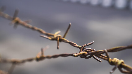 Barbed wire Fence with pointed iron at the top for protection so that thieves, crime, or wild animals do not enter the area. Concept for defensive, prevention, safety, mitigation.
