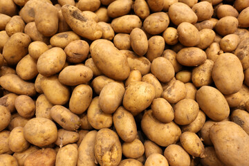 Fototapeta na wymiar close up of organic potatoes in the supermarket