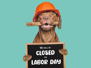 Signboard with the inscription We will be closed on Labor Day. Cute puppy and tools. Closeup. Studio shot. Congratulations for family, loved ones, friends and colleagues. Pets care concept