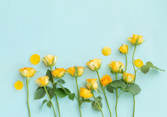 yellow roses on green paper background