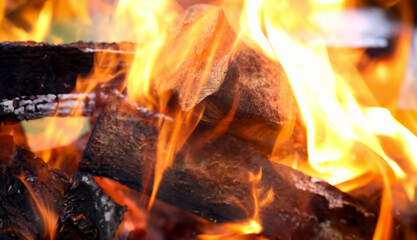 Close-up of burning piece of wood. Macro shot of flames of campfire at night. Great place for cooking in the forest. Bonfire, camping and warm up concept