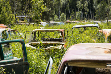 Rusty and abandoned car wrecks forgotten in a swedish forest