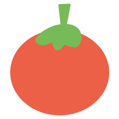 tomato illustration Vector