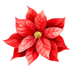Single red Watercolor poinsettia floral christmas illustration