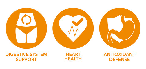 Flat icons set for nutrient supplements benefits