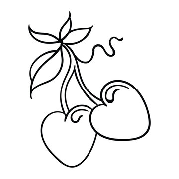 Hand drawing cherry vector. Suitable for fruits icon, sign or symbol.
